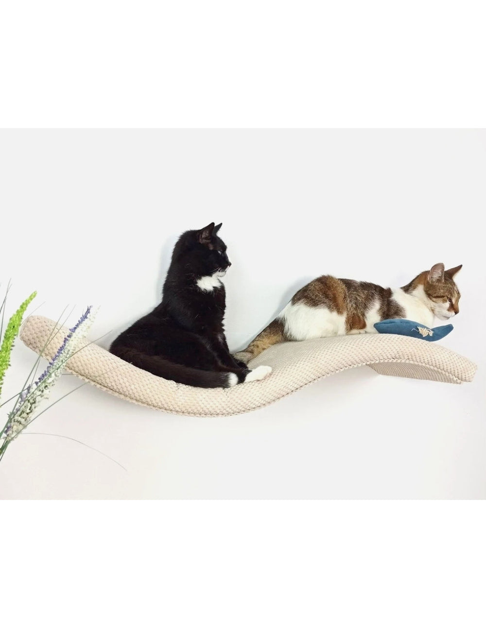 Cat Wall Shelf – Playful Curve | catsatelier-image-162