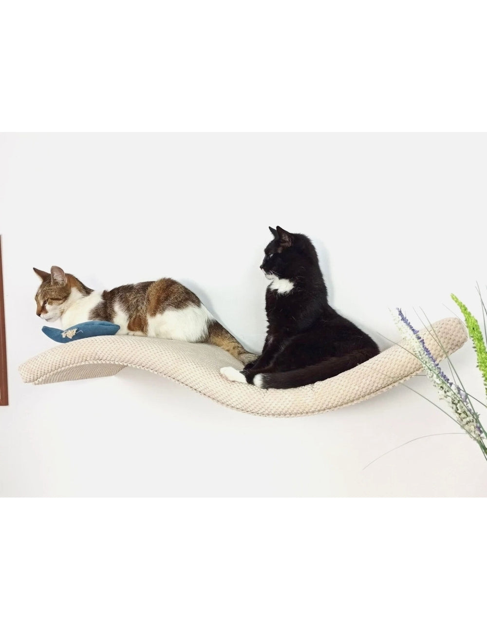 Cat Wall Shelf – The Playful Curve | catsatelier-image-227