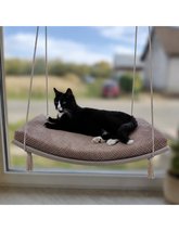 Schwingende Fensterliege aus Holz für Katzen mit entspannter schwarzer Katze, im Hintergrund unscharfe Natur.