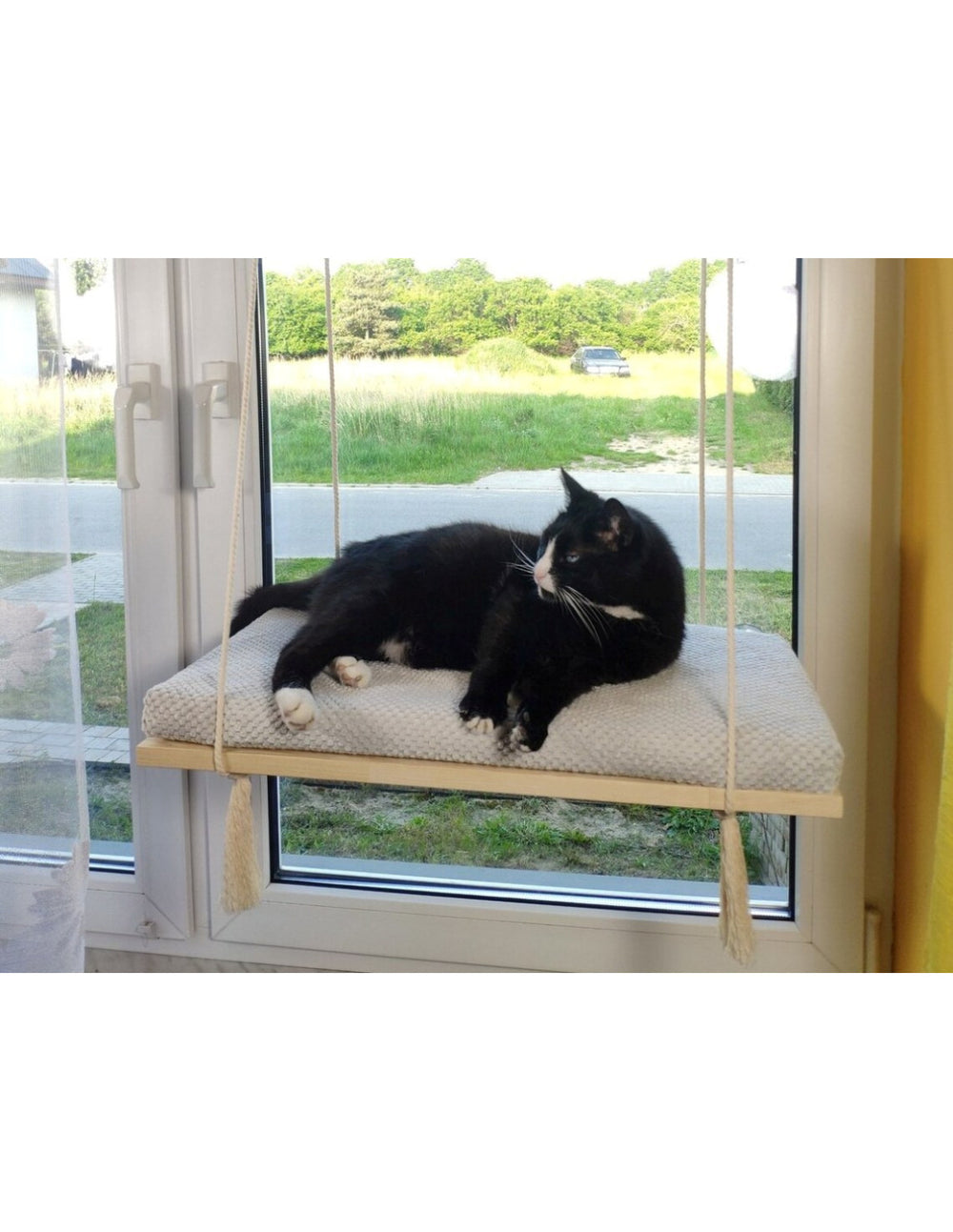 Cat Window Shelf – The Sunny Spot | catsatelier-image-282