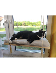 Cat Window Shelf – The Sunny Spot | catsatelier-image-283