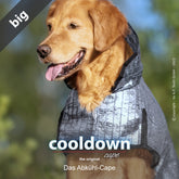 Golden Retriever mit gestreiftem, grauem Abkühl-Cape in einer unscharfen Naturkulisse.