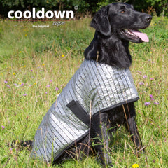 Schwarzer Hund mit silbernem Cooldown-Cape auf einer blühenden Wiese, entspannt im Grünen.