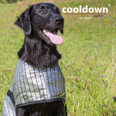 Schwarzer Hund mit silbernem Kühlcape sitzt freundlich auf grüner Wiese mit bunten Blumen im Hintergrund.