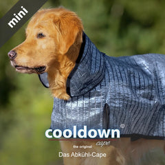 Golden Retriever trägt ein silbernes Abkühl-Cape in der Mini-Version für Hunde. Strukturierte Oberfläche und Kapuze sichtbar.