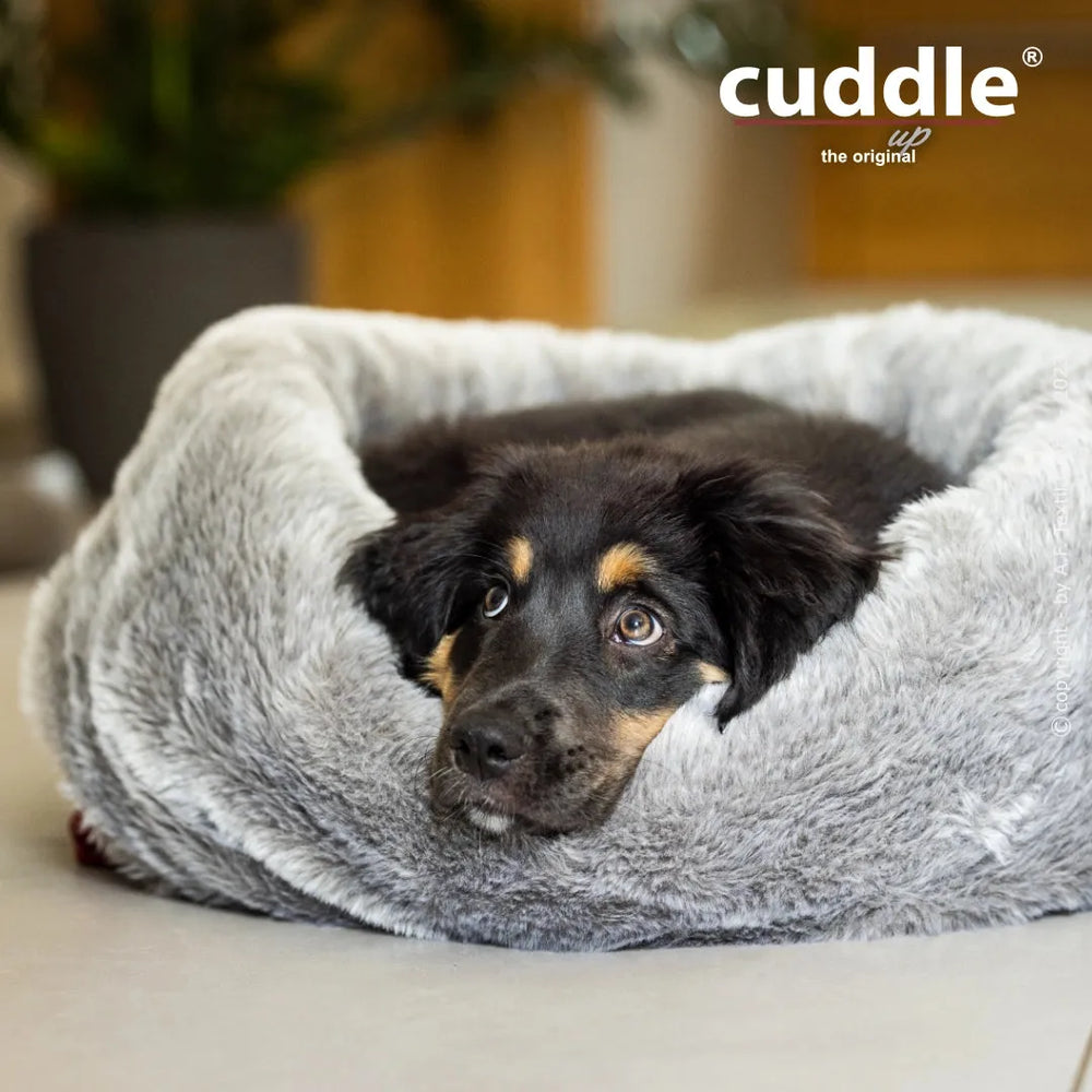 Welpe entspannt in grauem Hundebett von cuddle.up®, blickt freundlich in die Kamera. Ideal für gemütliche Ruhezeiten.