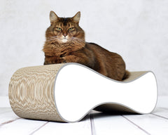 weiß, grauer Rand (000d) - Bild 1