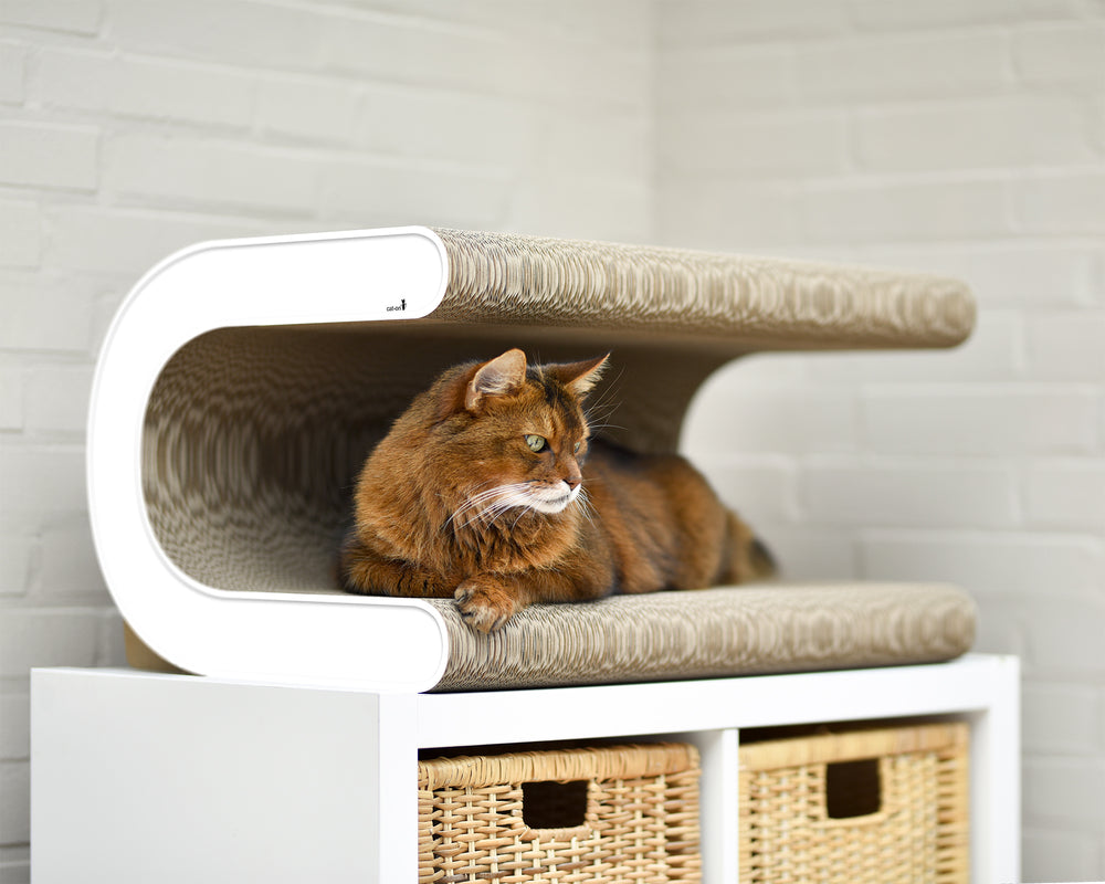 weiß mit Rand (000) - Bild 1