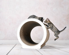 weiß mit Rand (000) - Bild 2