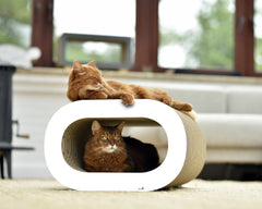 weiß, gestrichen (000x) - Bild 1