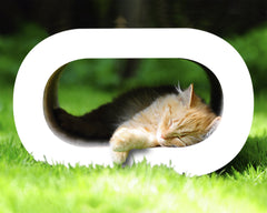 weiß, gestrichen (000x) - Bild 3