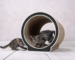 schwarz, weißer Rand (000g) - Bild 1