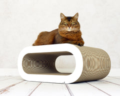 weiß, gestrichen (000x) - Bild 3