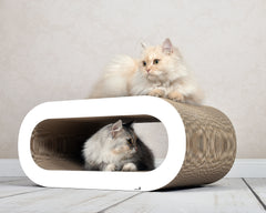 weiß, gestrichen (000x) - Bild 1