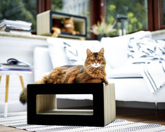 schwarz matt (013x) - Bild 1