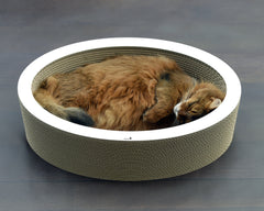 weiß, gestrichen (000x) - Bild 3