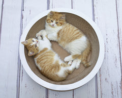 11 cm, weiß, gestrichen (000x) - Bild 4