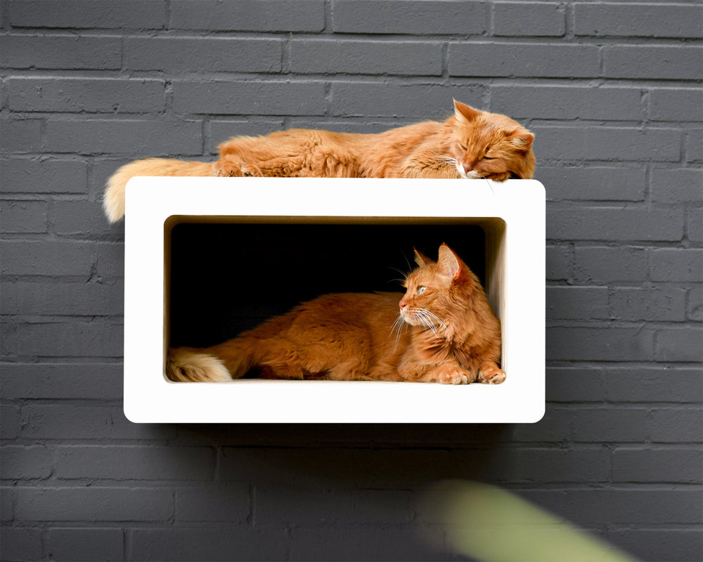 weiß, gestrichen (000x) - Bild 1