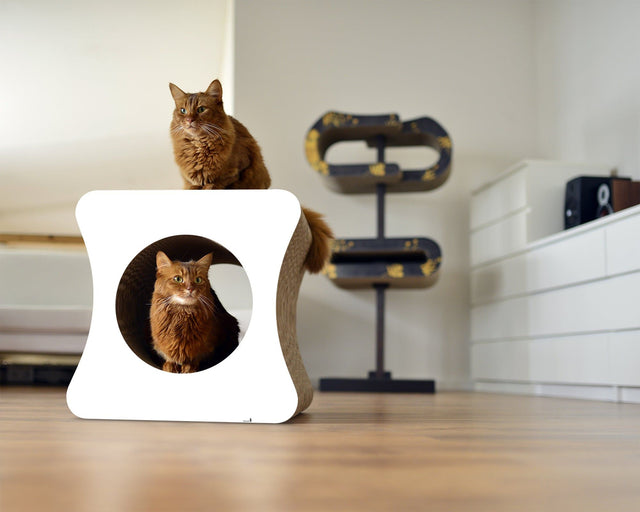 LE CUBE Design Katzenmöbel
