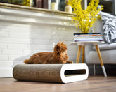 weiß, gestrichen (000x) - Bild 1