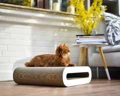 weiß, gestrichen (000x) - Bild 1