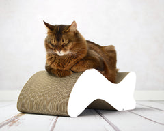 weiß, gestrichen (000x) - Bild 2