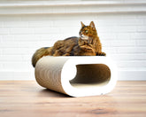 weiß, gestrichen (000x) - Bild 1