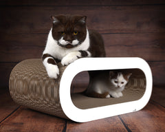 weiß, gestrichen (000x) - Bild 4