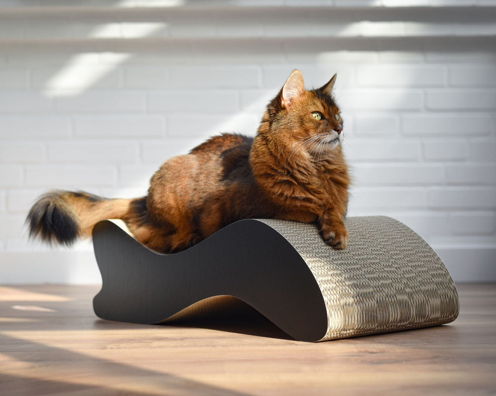 Katze entspannt auf elegantem Kratzbrett aus Naturmaterial vor heller Wand. KABOU XL Design Kratzmöbel für stilvolle Tierliebhaber.