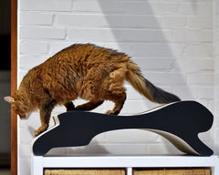 schwarz matt (013x) - Bild 1