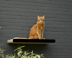 schwarz matt (013x) - Bild 2