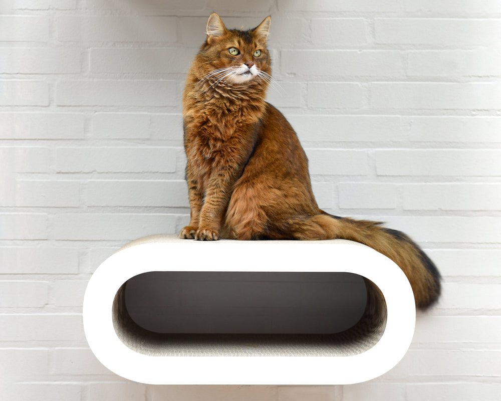 weiß, gestrichen (000x) - Bild 1