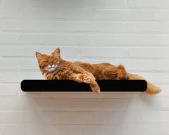 schwarz matt (013x) - Bild 2