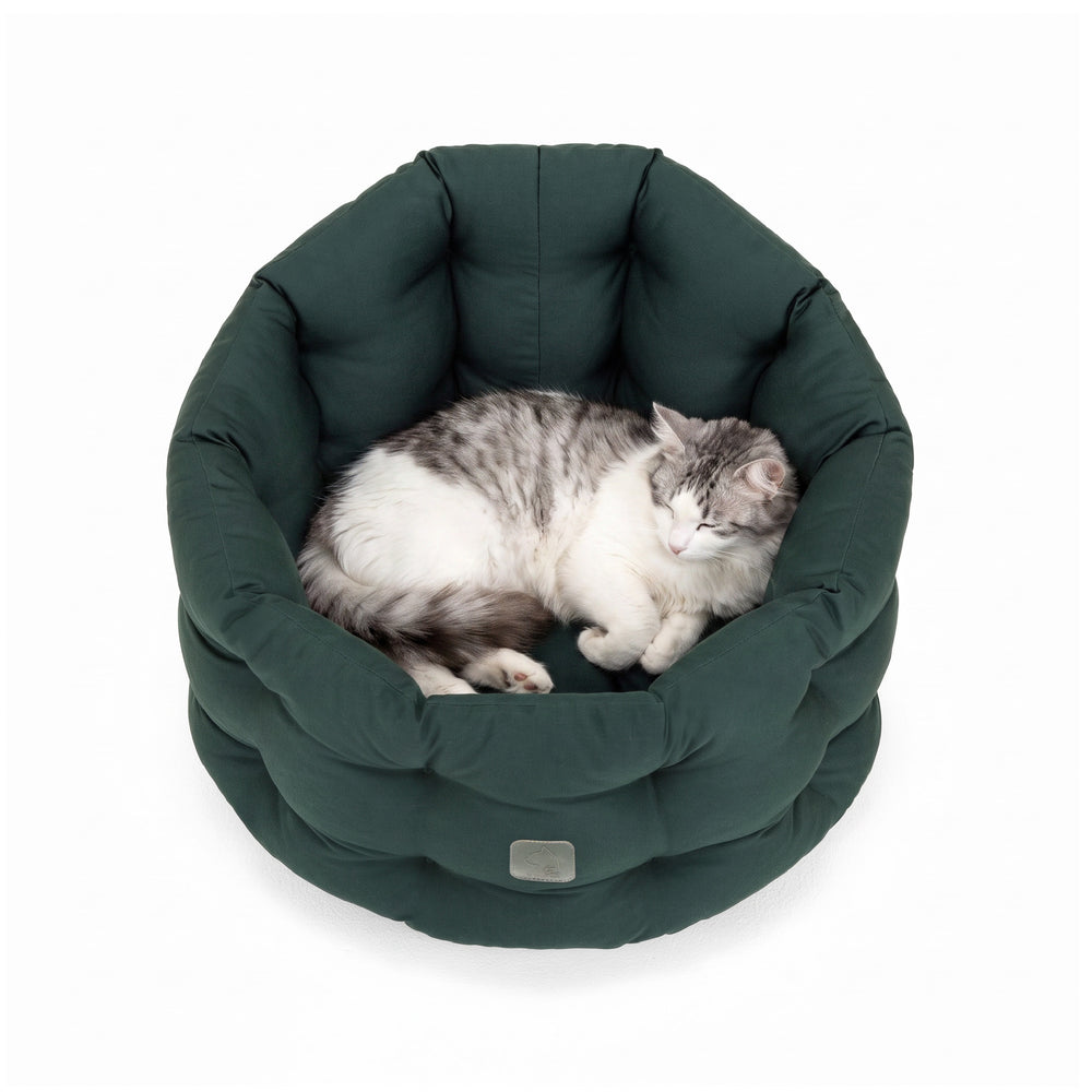 "Rundes, grünes Katzenbett Deluxe mit gepolsterter Oberfläche und ruhender grauer Katze darin."