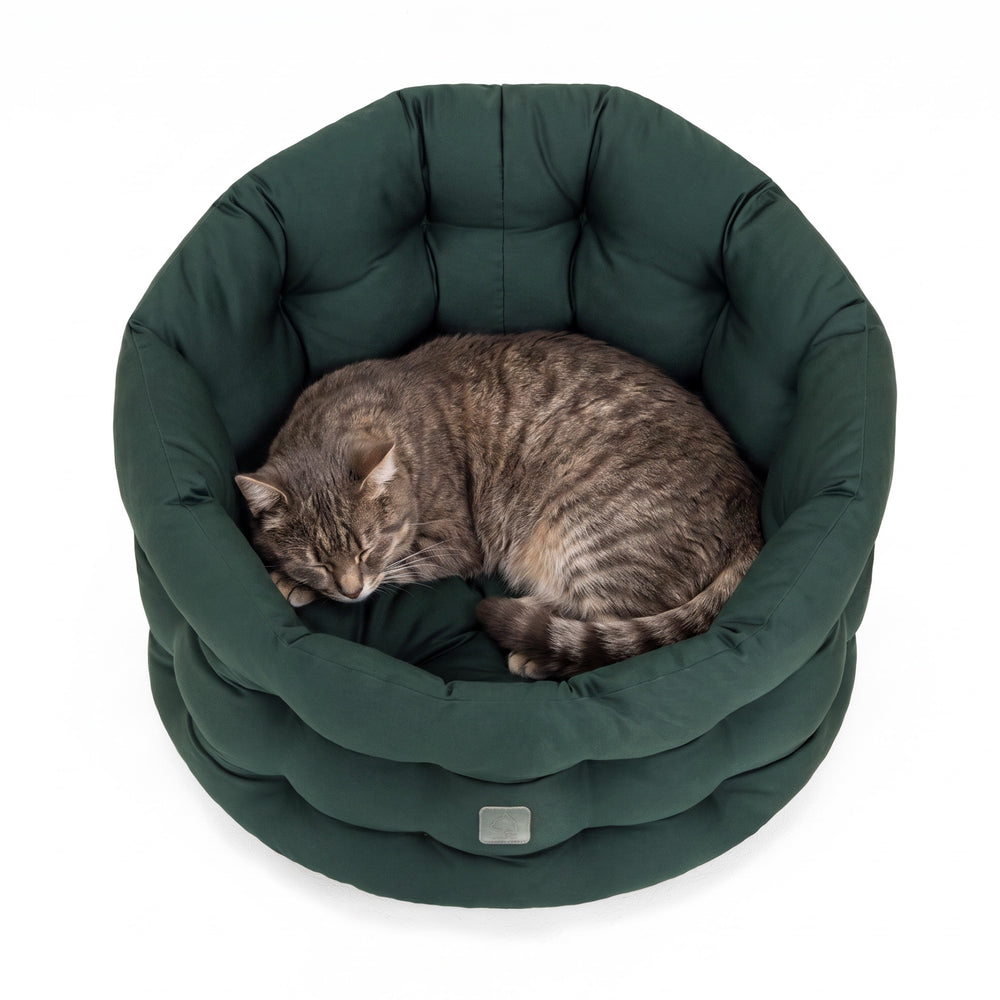 Rundes, gepolstertes Katzenbett in Dunkelgrün mit einer schlafenden Katze, ideal für Komfort und Entspannung.