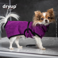 Kleiner Hund im lila Handtuch-Mantel auf nassen Fliesen, neugierig und stylisch mit dryup® cape nano logo.