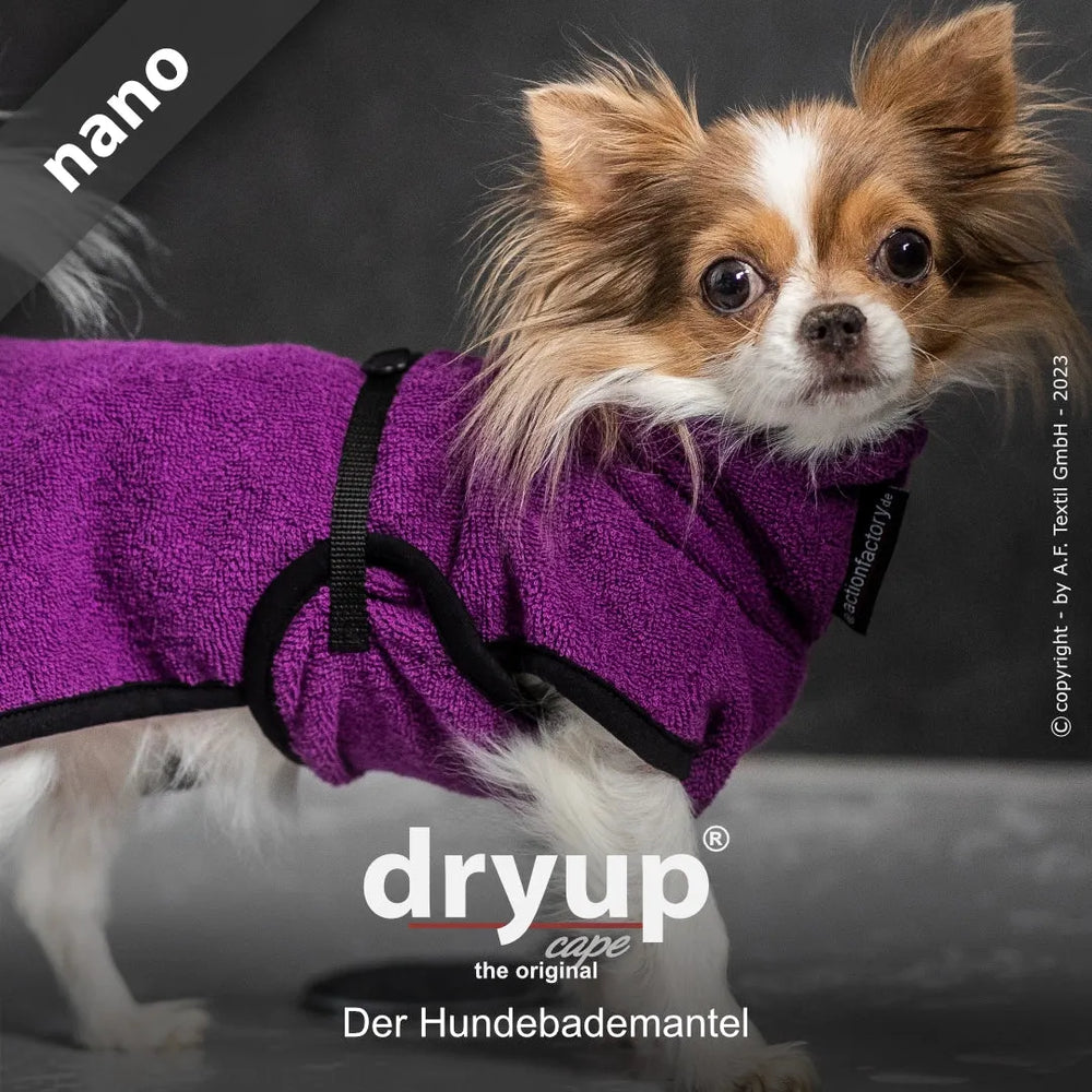 Kleiner Hund im lila Hundebademantel von dryup®, flauschig mit schwarzen Akzenten, niedlich auf grauem Hintergrund.