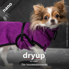 Kleiner Hund im lila Hundebademantel von dryup®, flauschig mit schwarzen Akzenten, niedlich auf grauem Hintergrund.
