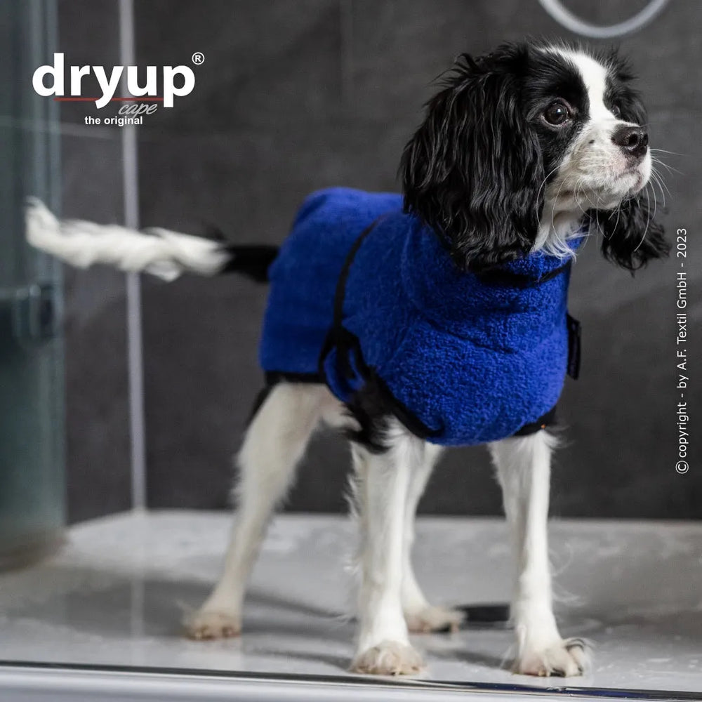 Kleiner Hund in blauem Trockenmantel von dryup® cape nano in einer modernen Dusche. Flauschig und praktisch mit Schnalle.