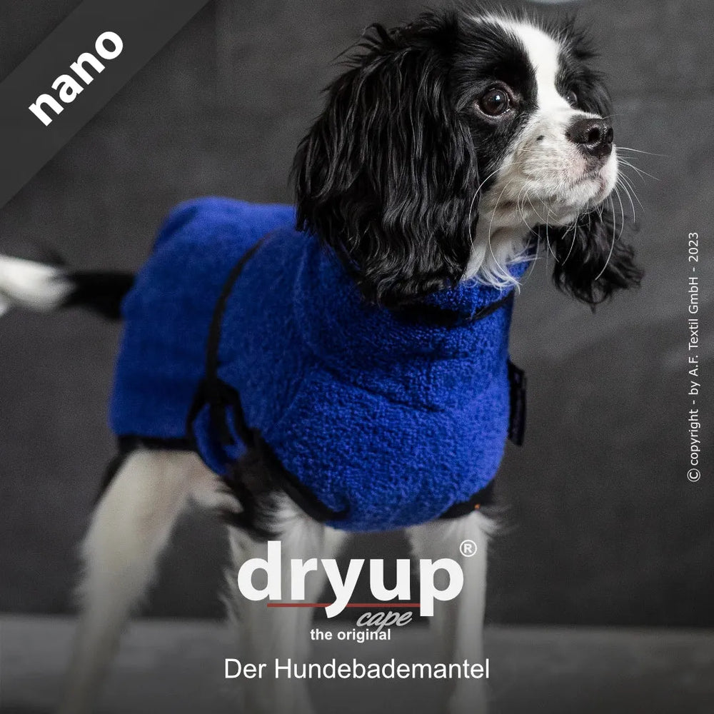 Ein kleiner schwarz-weißer Hund im blauen Hundebademantel von dryup® für Komfort und Wärme.