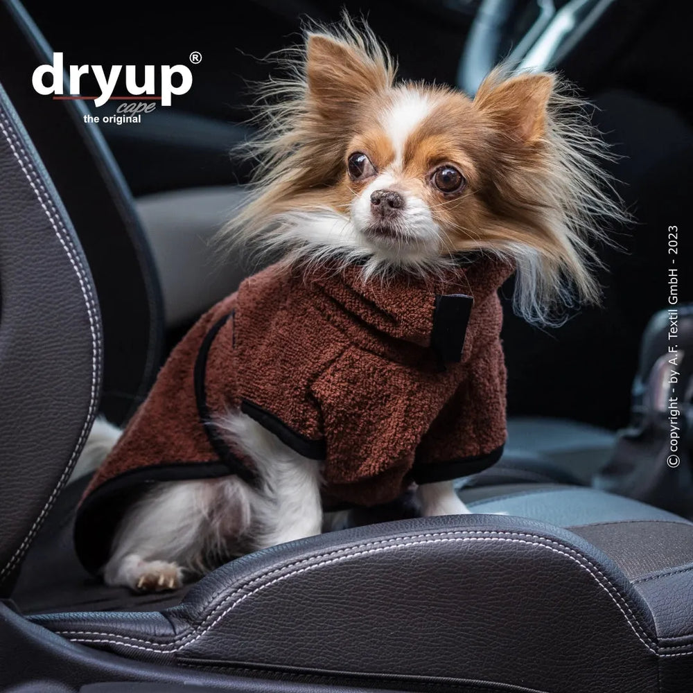 Kleiner Chihuahua im weichen brown dryup® Hundebademantel auf einem Autositz im Auto.