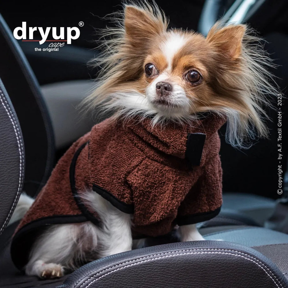 Kleiner Chihuahua in braunem, flauschigem Hundebademantel sitzt im Auto und schaut neugierig in die Kamera.