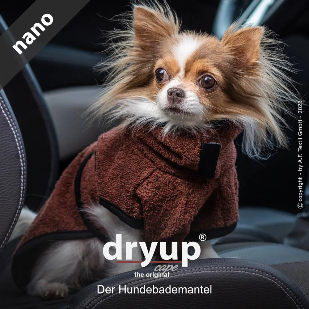 Kleiner Hund im braunen Hundebademantel auf Autositz, niedlich und praktisch für nach dem Baden.