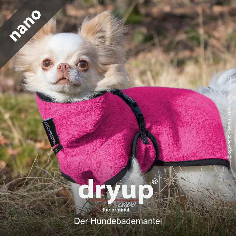 Kleiner Hund in pinkem Bademantel mit schwarzem Rand in einer grünen Wiese. Ideal zum Trocknen nach dem Baden.
