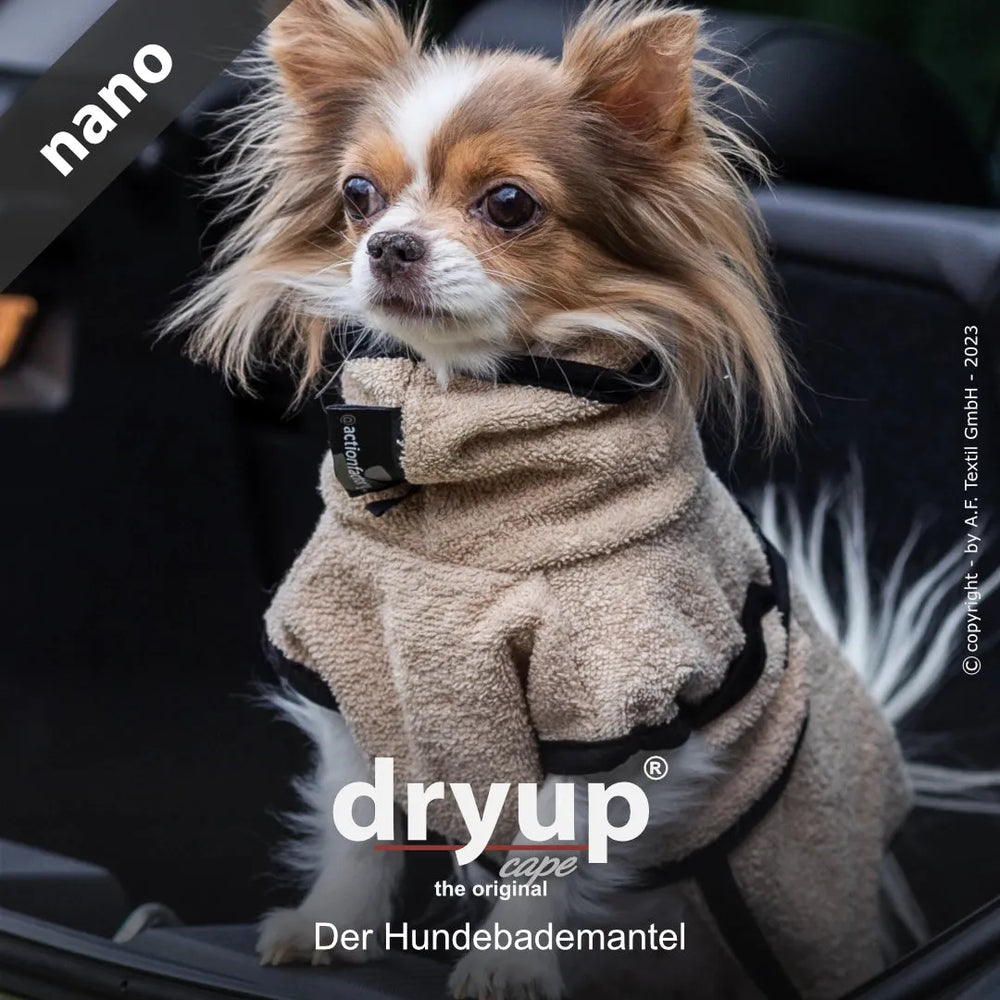 Kleiner Hund im beigen flauschigen Bademantel mit Kapuze, sitzt auf einem Autositz und schaut freundlich in die Kamera.