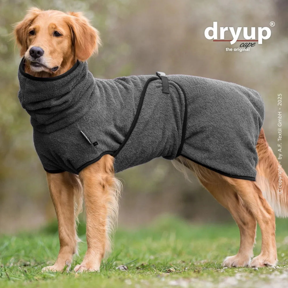 Hund im grauen Bademantel mit hohem Kragen, fixiert mit Gurt, ideal zum Abtrocknen nach dem Baden.