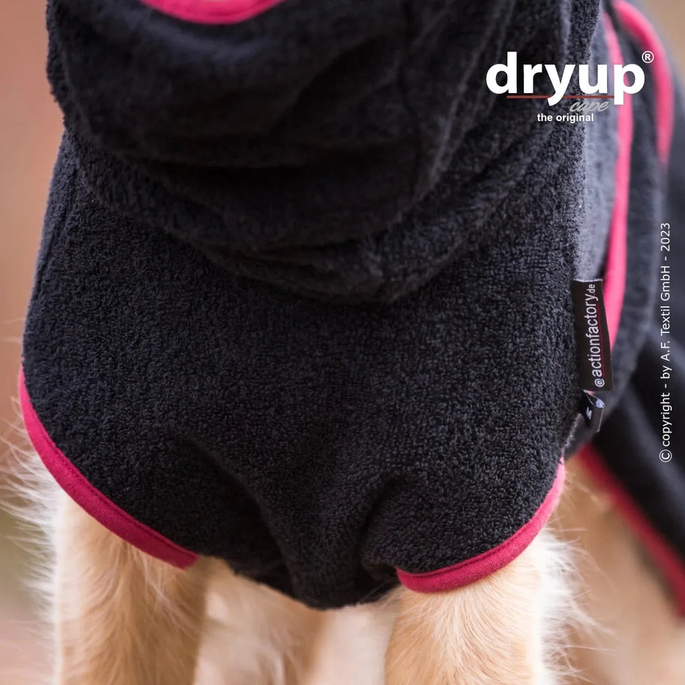 Hund mit schwarzem Bademantel und roten Akzenten – Dryup® Hundebademantel für trockene Fellpflege.
