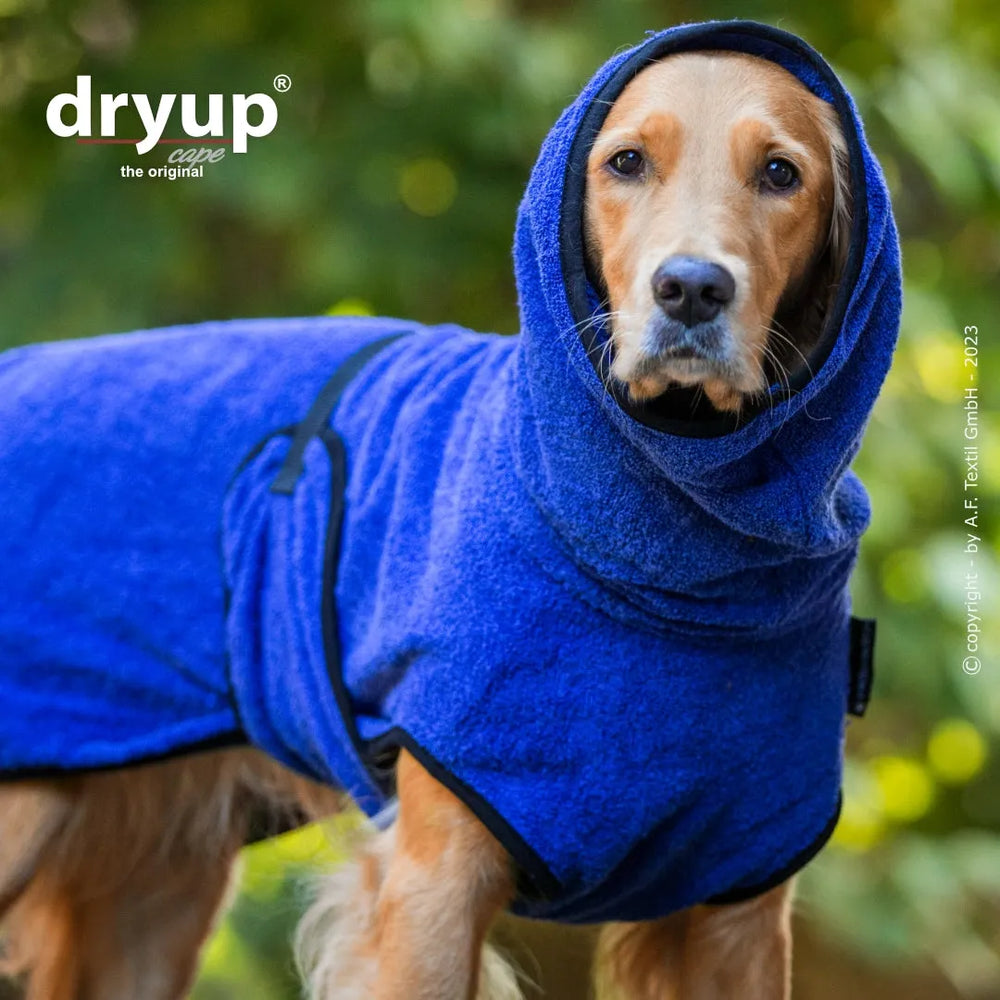 Ein Hund trägt einen blauen, flauschigen Bademantel mit Kapuze von Dryup® im unscharfen Hintergrund.