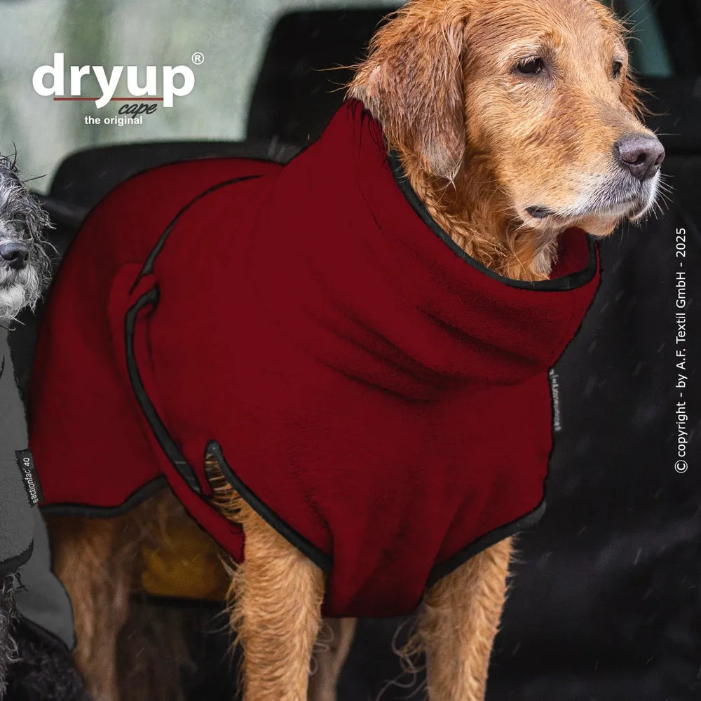 "Ein entspannter Hund im roten Dryup® Hundebademantel sitzt im Auto, umgeben von weiteren Gegenständen."