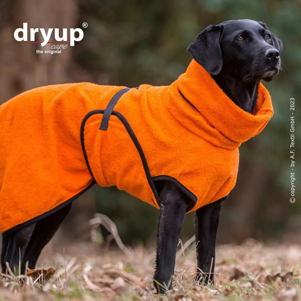 Schwarzer Hund im orangefarbenen Fleece-Bademantel mit hohem Kragen, ideal für nach dem Baden.